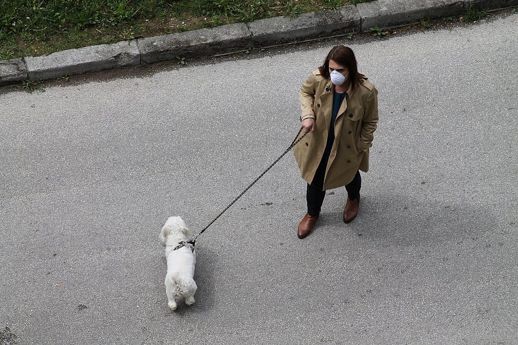 belma i moby u koroni