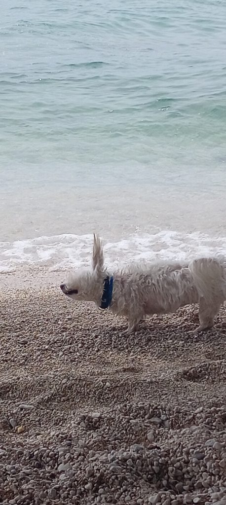 gradac jun 2024