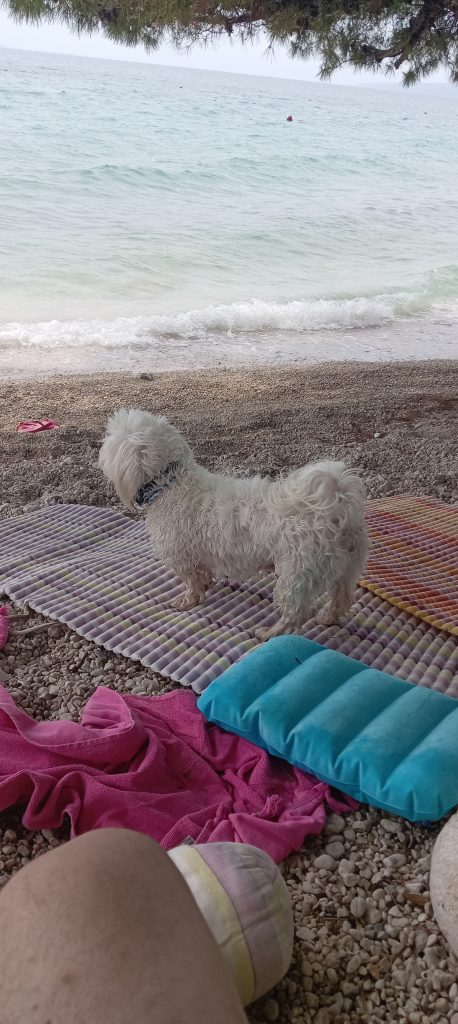 gradac jun 2024