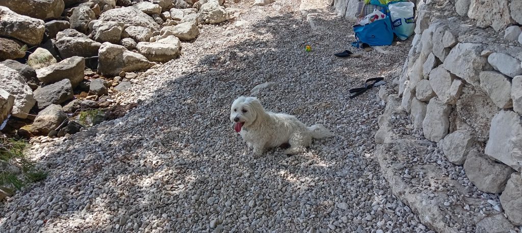 gradac jun 2024