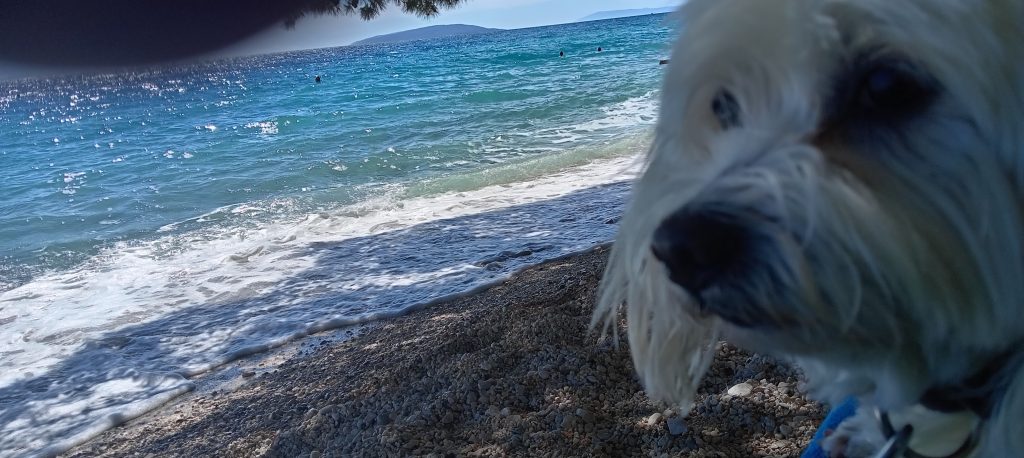 gradac jun 2024