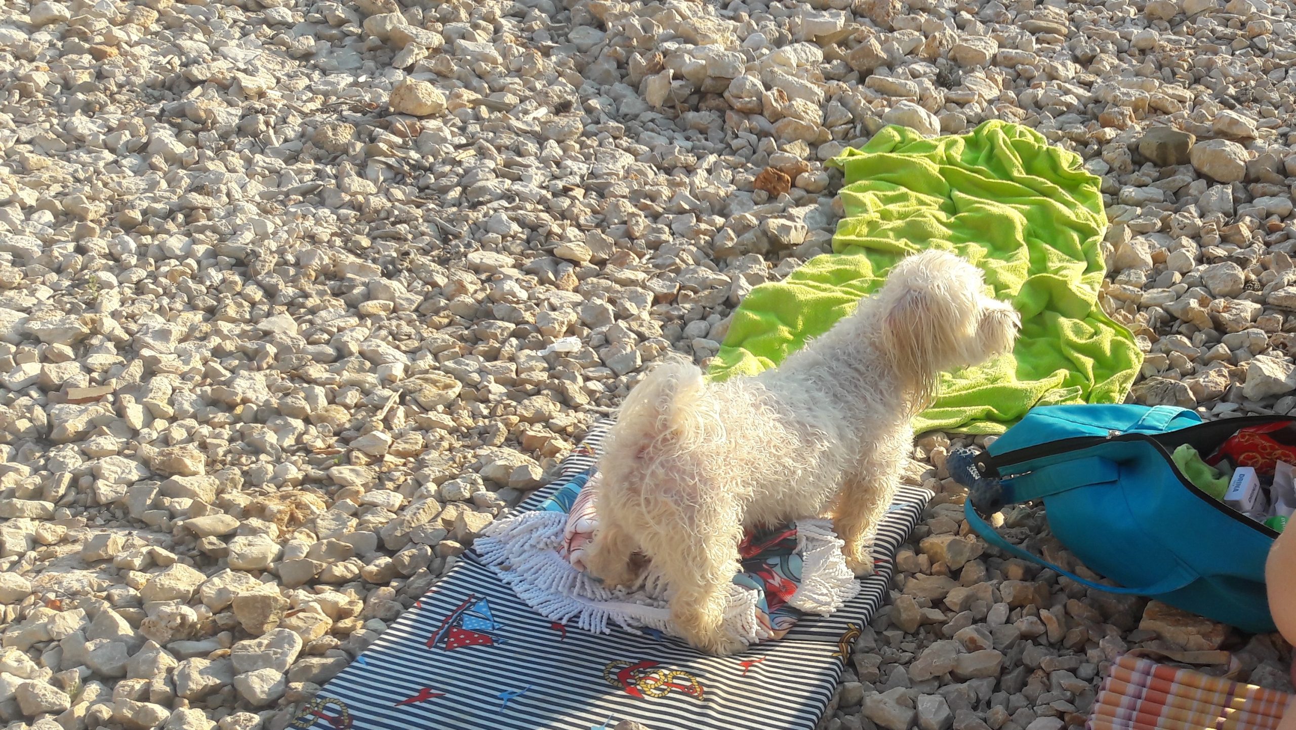 moby na moru