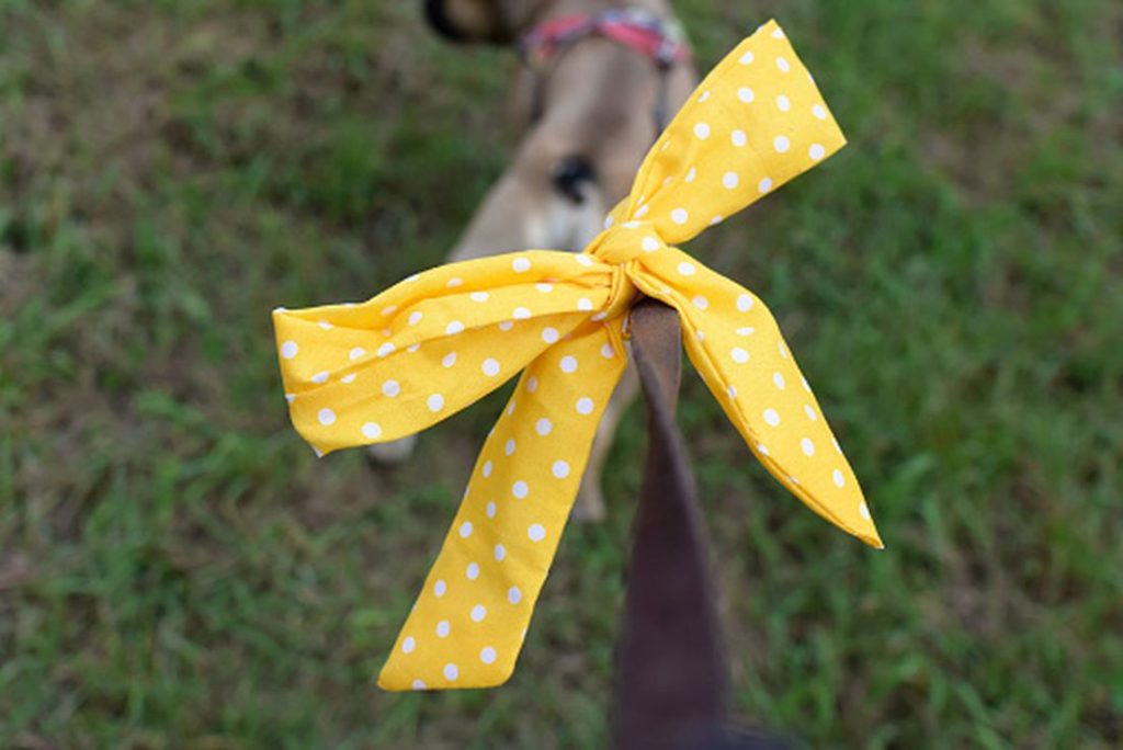 Yellow Dog Project