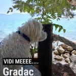 moby gradac