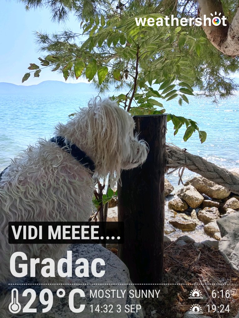 moby gradac