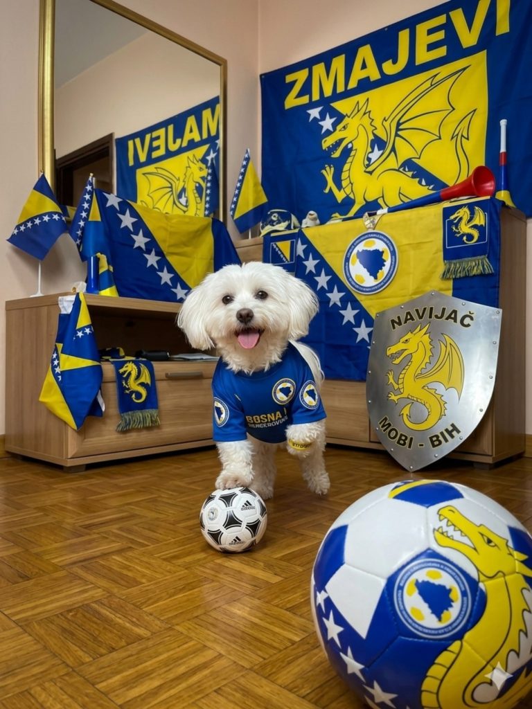 Moby svim srcem navija za Bosnu i Hercegovinu 🇧🇦🐾