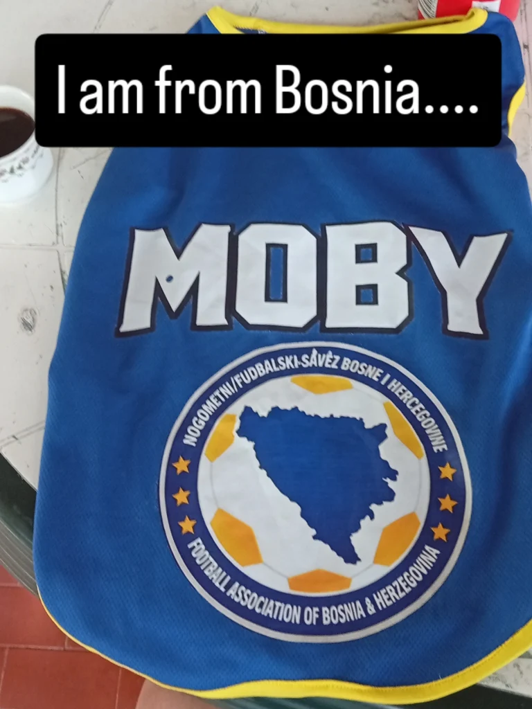 Pozdrav iz Gradca! 🇧🇦🐉